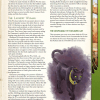 Cat & Mouse for 5th Edition (PDF) - Image 2