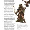 New Paths Compendium - Expanded (Hardcover) - Image 2