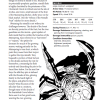 Warlock Grimoire 2 for 5th Edition (Hardcover + PDF Bundle) - Image 5