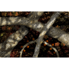 Book of Lairs (Shard Tabletop License Key) - Image 6