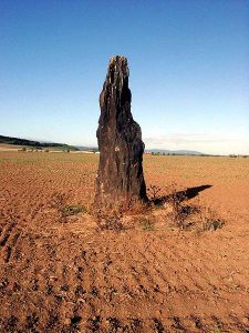 450px-Menhir