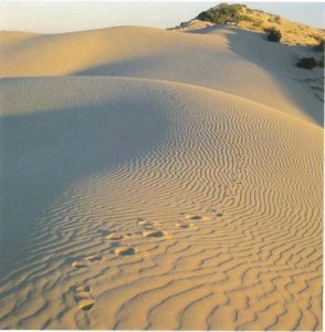 dunes of despair