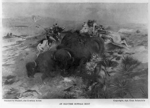 Buffalo hunt