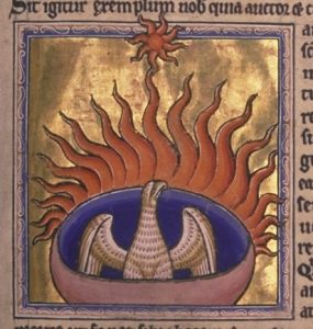 Phoenix illumination miniature from the Aberdeen Bestiary 