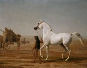 767px-Jacques-Laurent_Agasse_-_The_Wellesley_Grey_Arabian_Led_through_the_Desert_-_Google_Art_Project