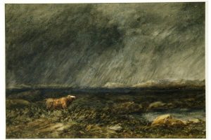 David Cox - A Bull in a Storm on a Moor