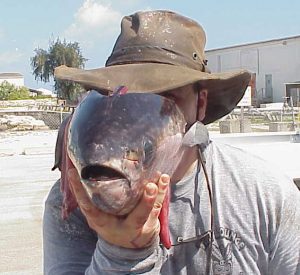 Ben McFarland, Fish Face